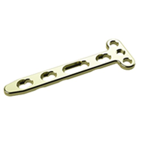 Orthopedic Bone Plate