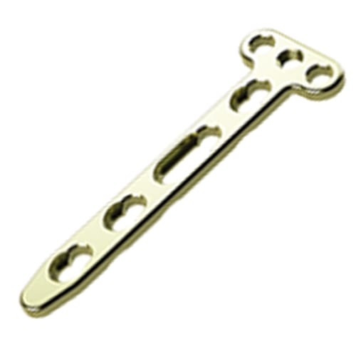 Orthopedic Bone Plate